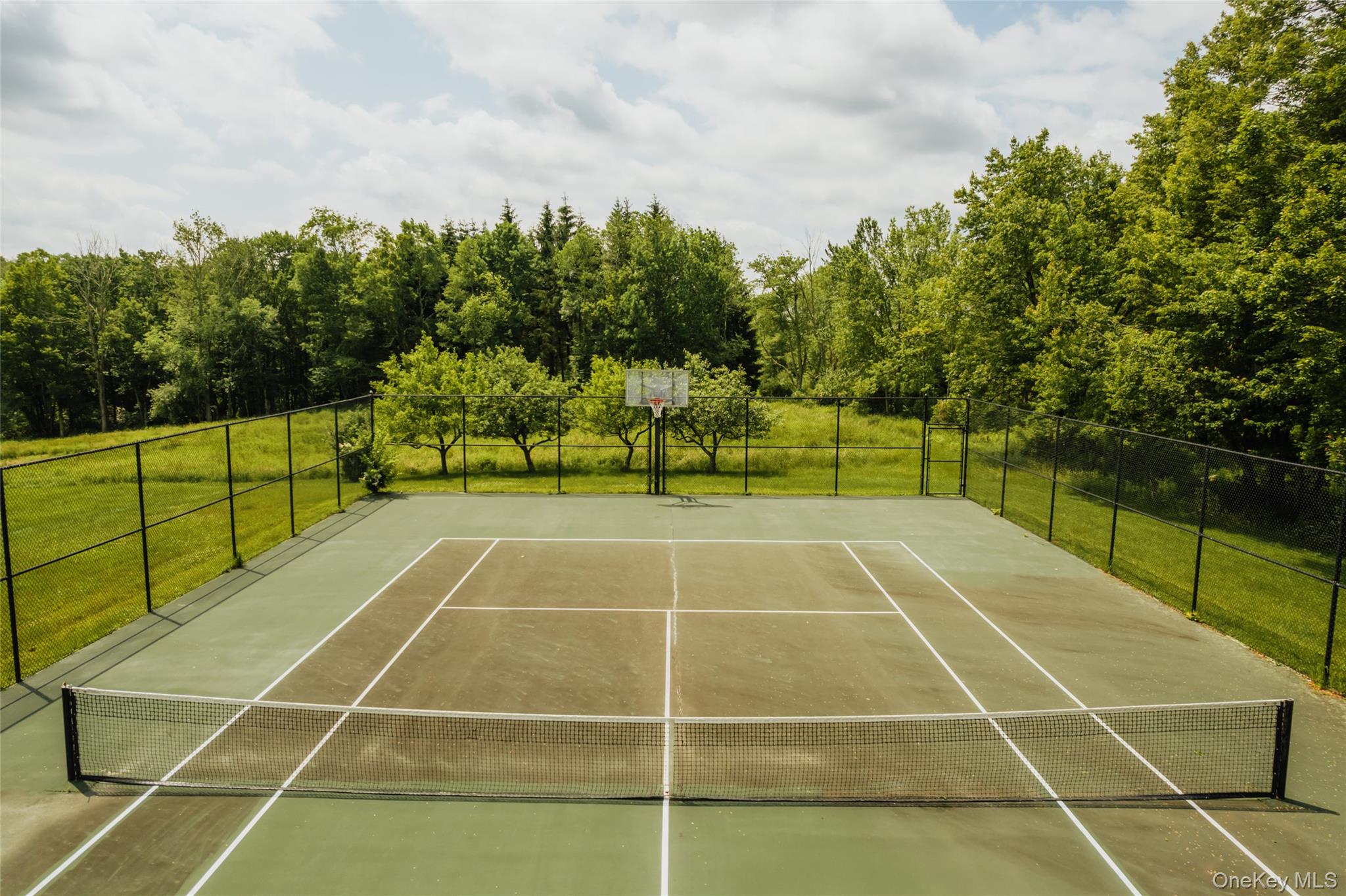 111 Jim Stephenson Road Jeffersonville, NY 12748 - Photo 36 of 50 a view of a tennis court with basket ball court