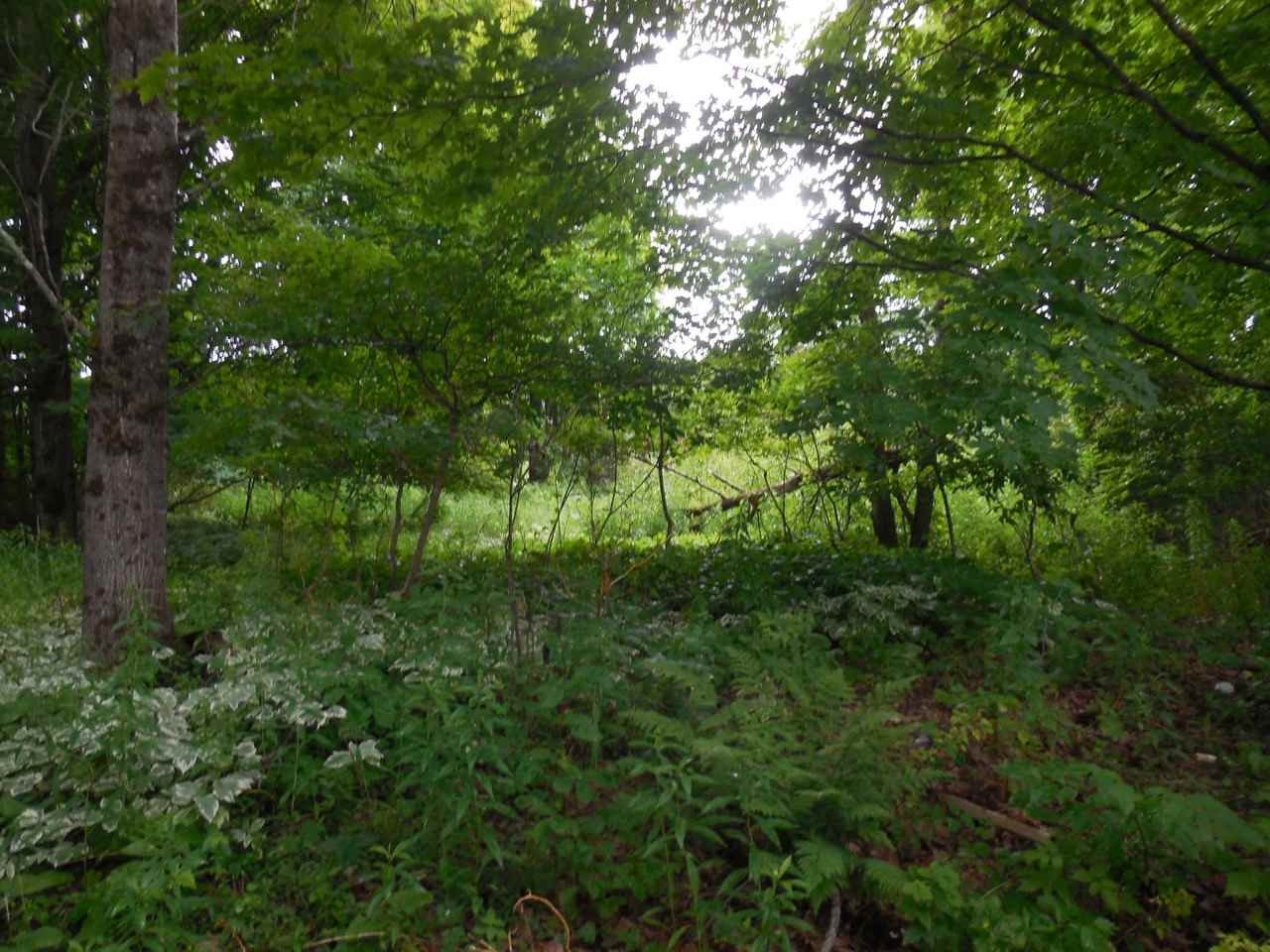 Weeks Place- Marsh Road Wolcott, VT 05680 - Photo 17 of 40