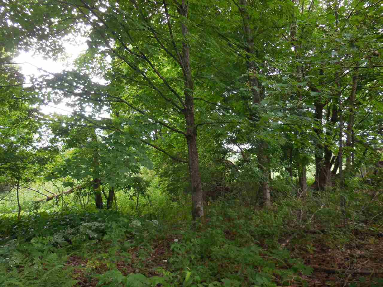 Weeks Place- Marsh Road Wolcott, VT 05680 - Photo 20 of 40