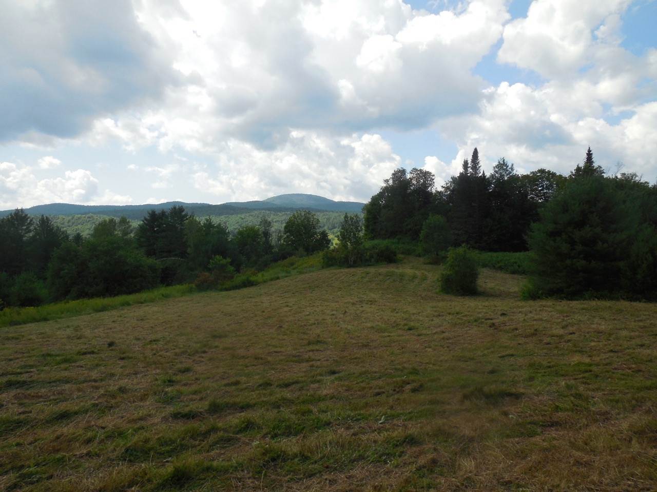 Weeks Place- Marsh Road Wolcott, VT 05680 - Photo 23 of 40