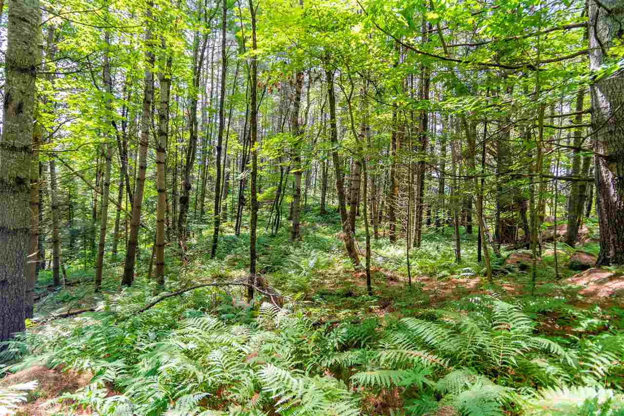 Weeks Place- Marsh Road Wolcott, VT 05680 - Photo 28 of 40