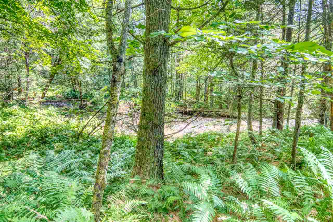Weeks Place- Marsh Road Wolcott, VT 05680 - Photo 33 of 40