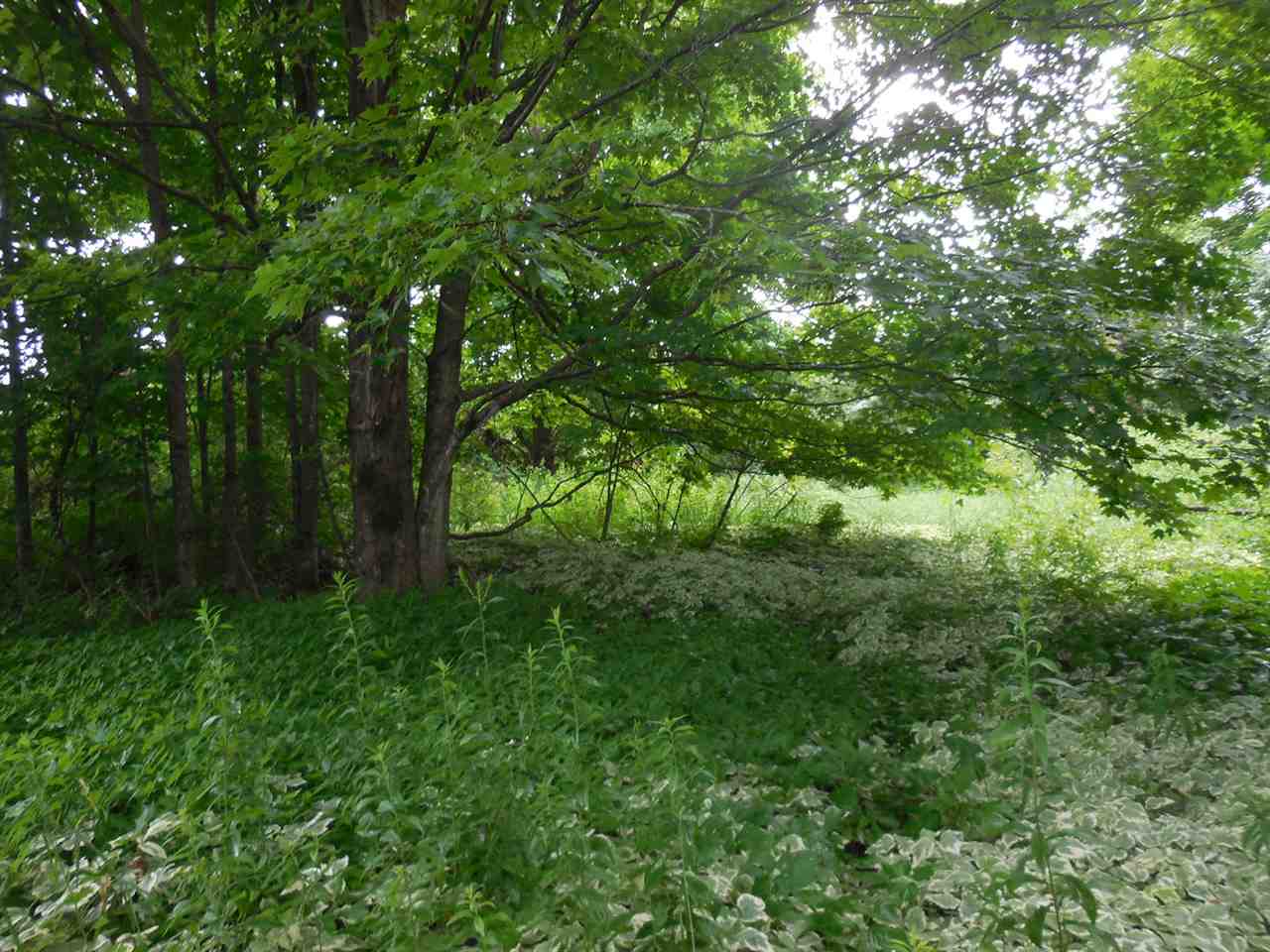 Weeks Place- Marsh Road Wolcott, VT 05680 - Photo 37 of 40