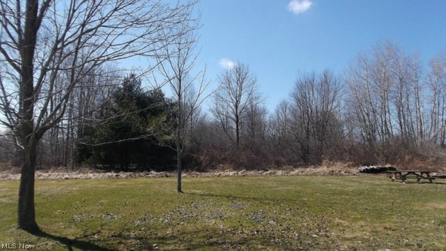 1535 Pelton Road Austinburg, OH 44010 - Photo 20 of 21