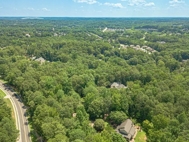 a view of a city with lush green forest
