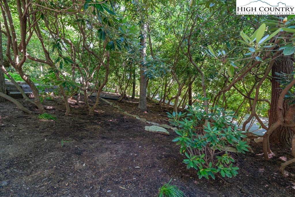 307 Lakeview Road Newland, NC 28657 - Photo 35 of 49 a view of forest