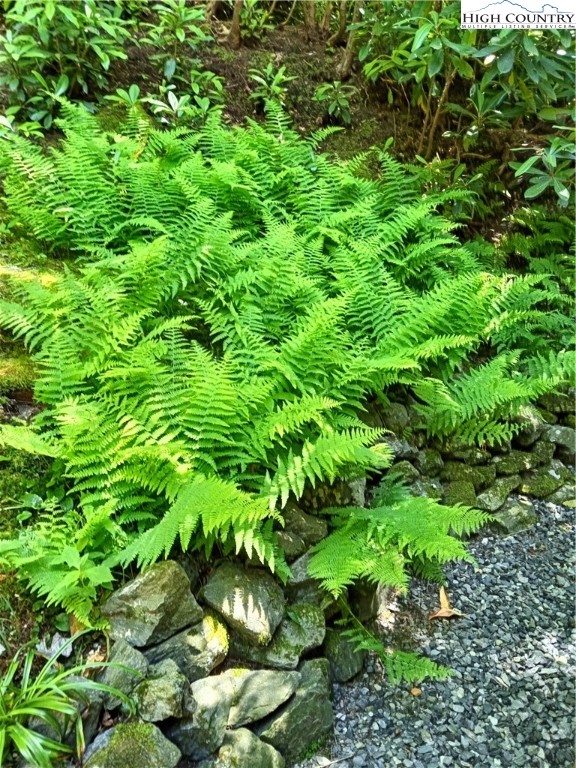 307 Lakeview Road Newland, NC 28657 - Photo 48 of 49