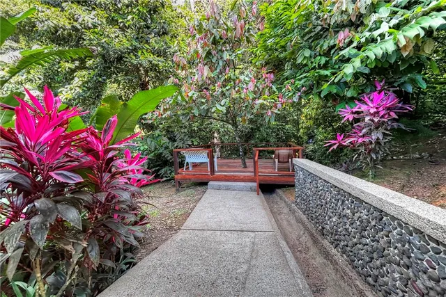 a view of a street with potted plants and large trees