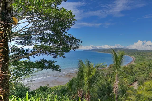 a view of a yard with an outdoor space