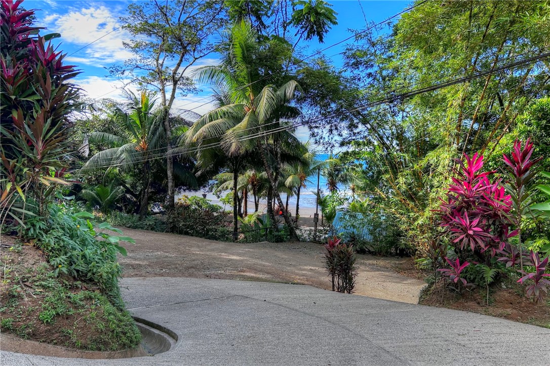 0 Drake Bay Costa Rica Out Of Area, OS 00000 - Photo 31 of 36 a view of a street with potted plants and large trees