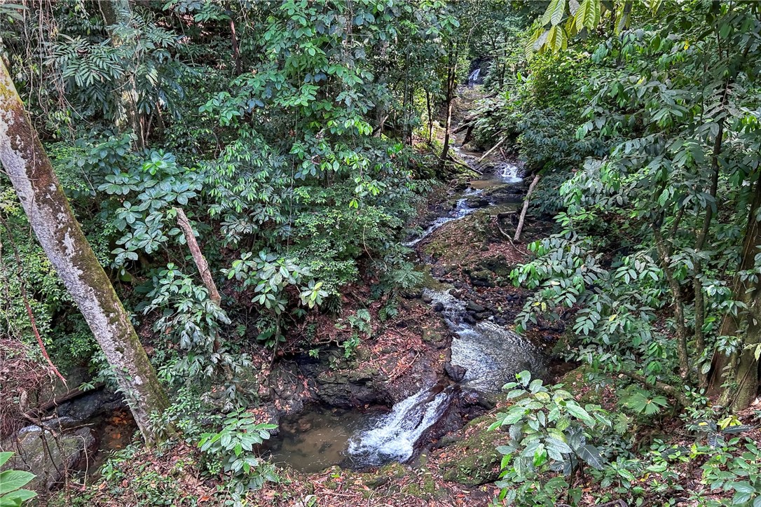 0 Drake Bay Costa Rica Out Of Area, OS 00000 - Photo 8 of 36 a view of a large yard with lots of green space
