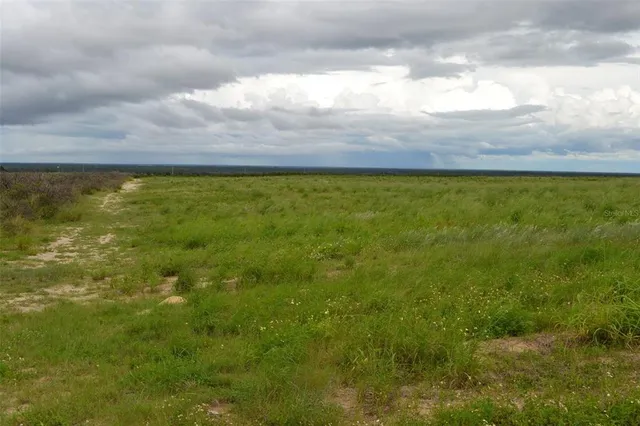 a view of an ocean from a yard