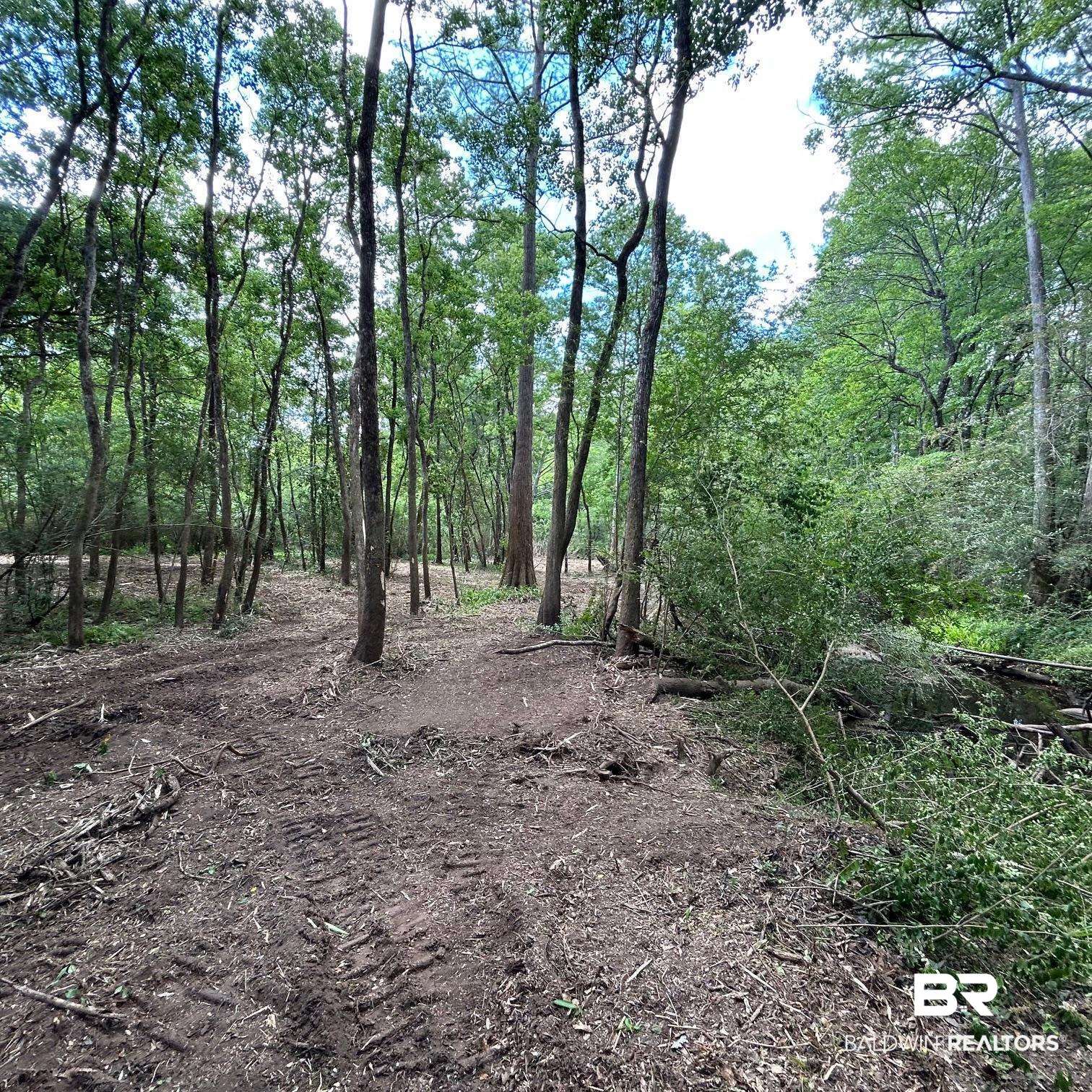23587 Cowling Road Robertsdale, AL 36567 - Photo 13 of 40 Gallery Image 13