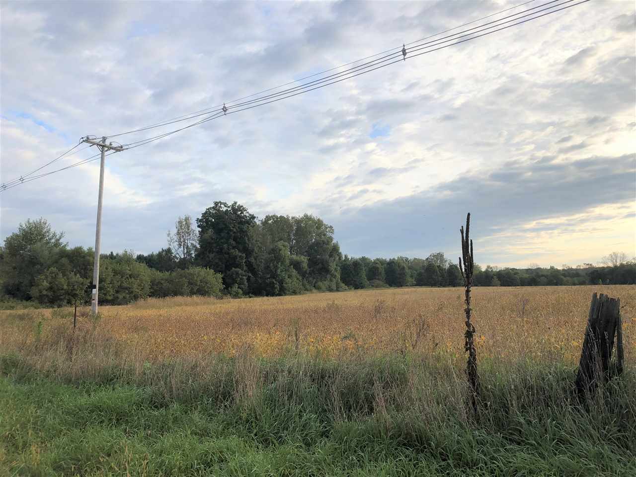 0 Antcliff Road, Unit PARCEL A Howell, MI 48836 - Photo 1 of 5