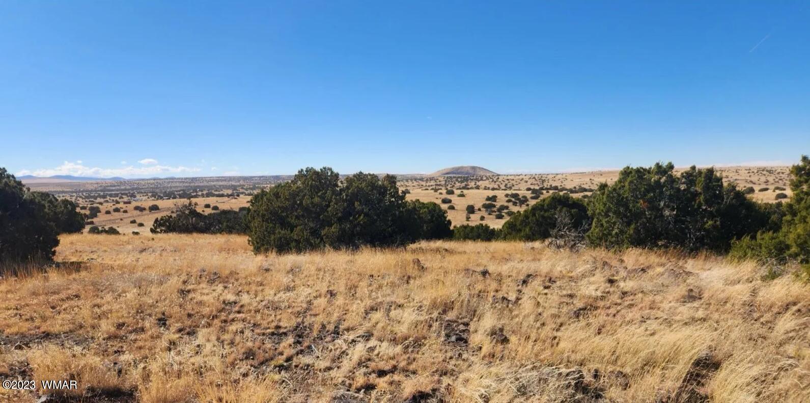Tbd Fox Lane Concho, AZ 85924 - Photo 1 of 14