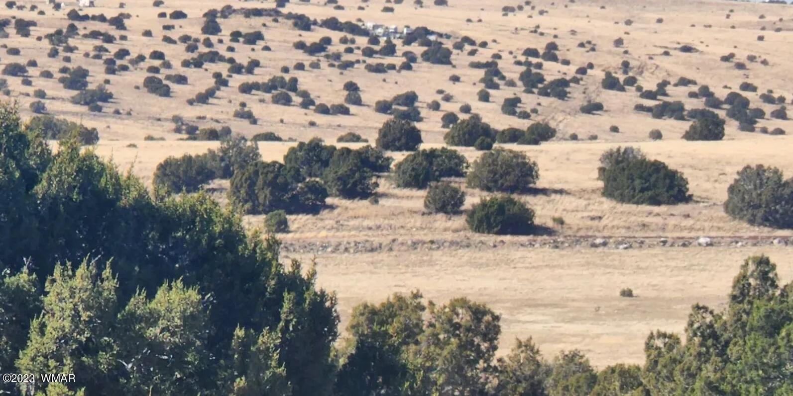Tbd Fox Lane Concho, AZ 85924 - Photo 5 of 14