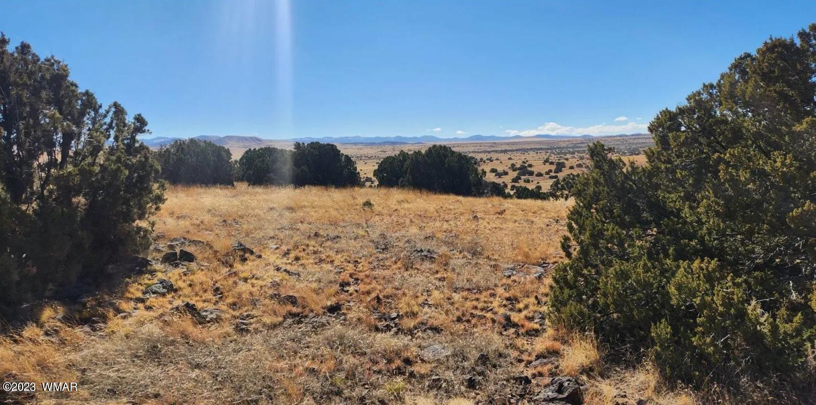Tbd Fox Lane Concho, AZ 85924 - Photo 6 of 14