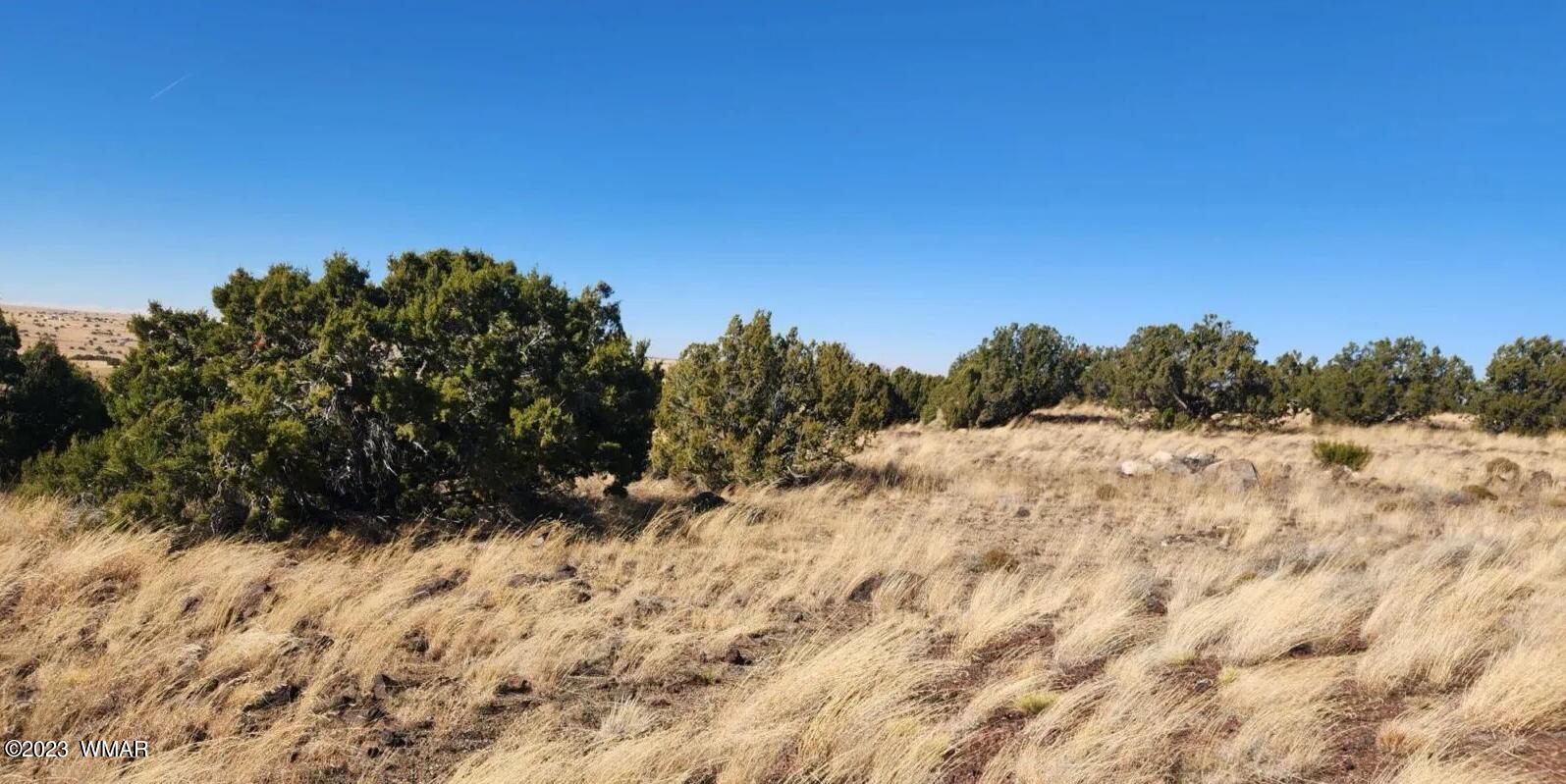 Tbd Fox Lane Concho, AZ 85924 - Photo 7 of 14