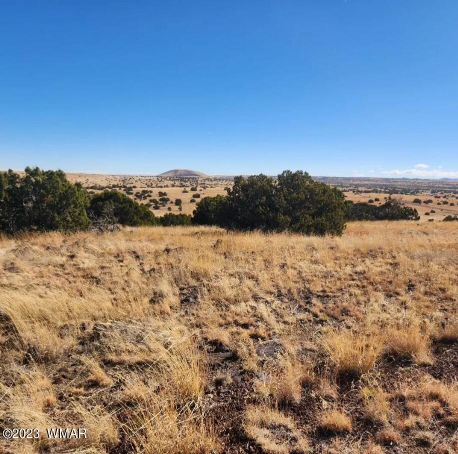 Tbd Fox Lane Concho, AZ 85924 - Photo 8 of 14