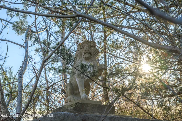 a yard with large trees