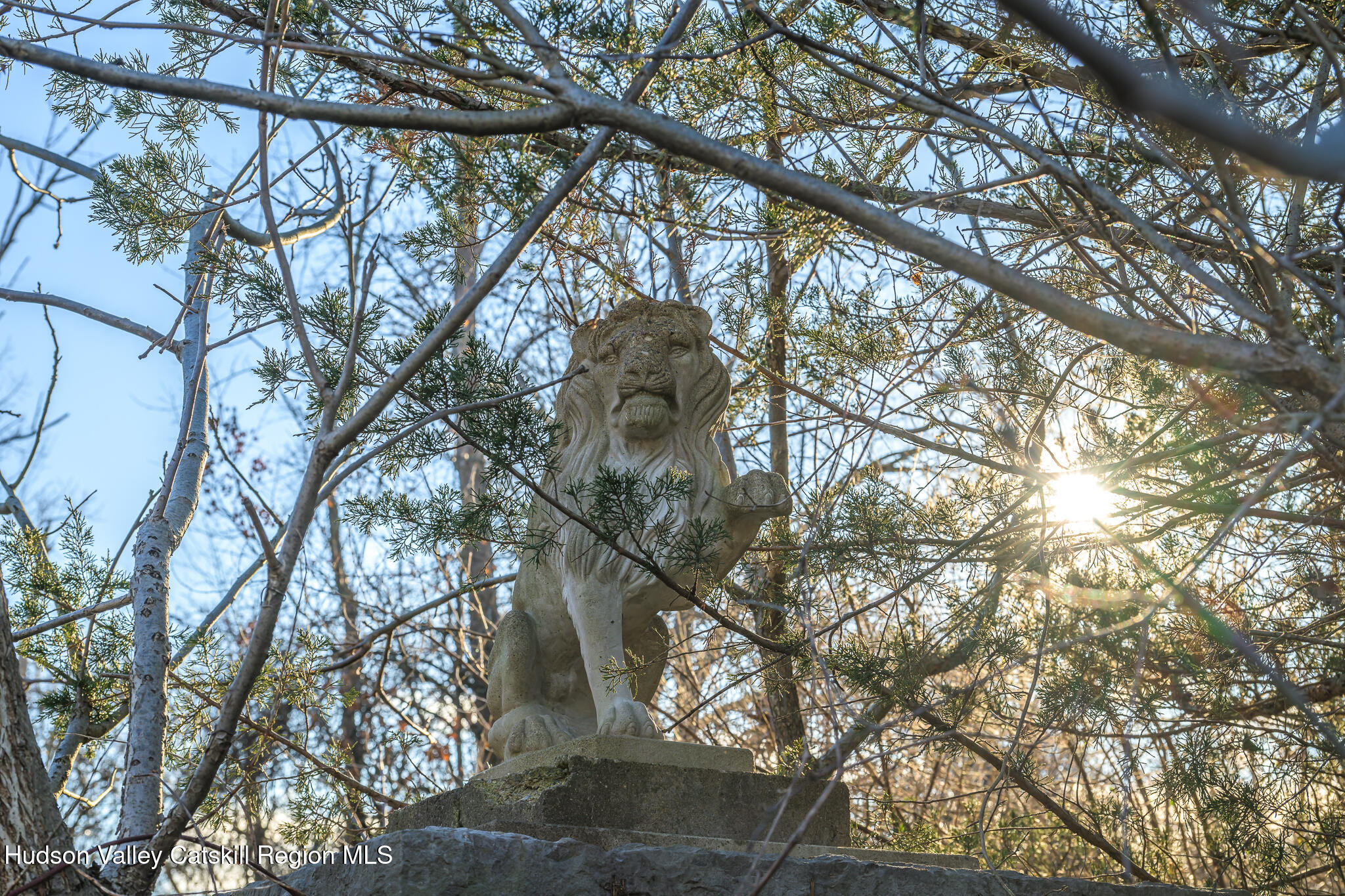 91 Scheller Park Road New Baltimore, NY 12192 - Photo 3 of 26 a yard with large trees