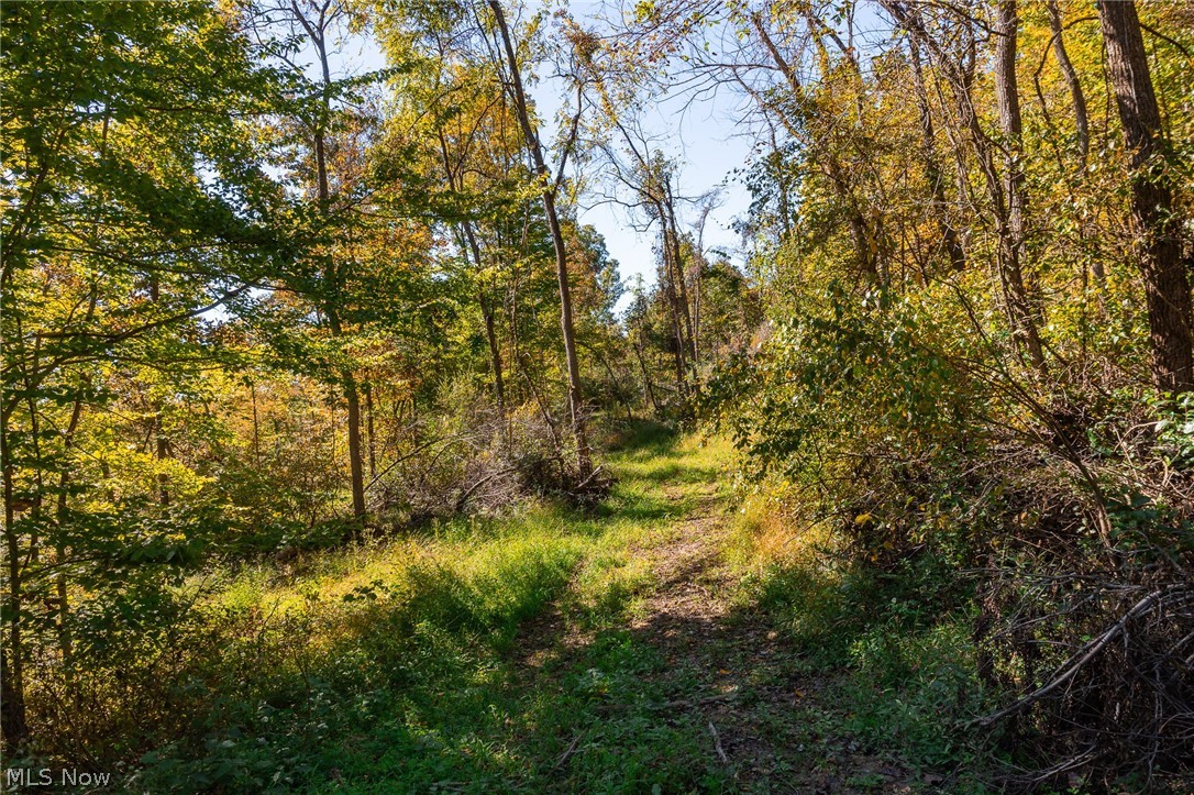 Keithtown Road Caldwell, OH 43724 - Photo 33 of 49 Gallery Image 33
