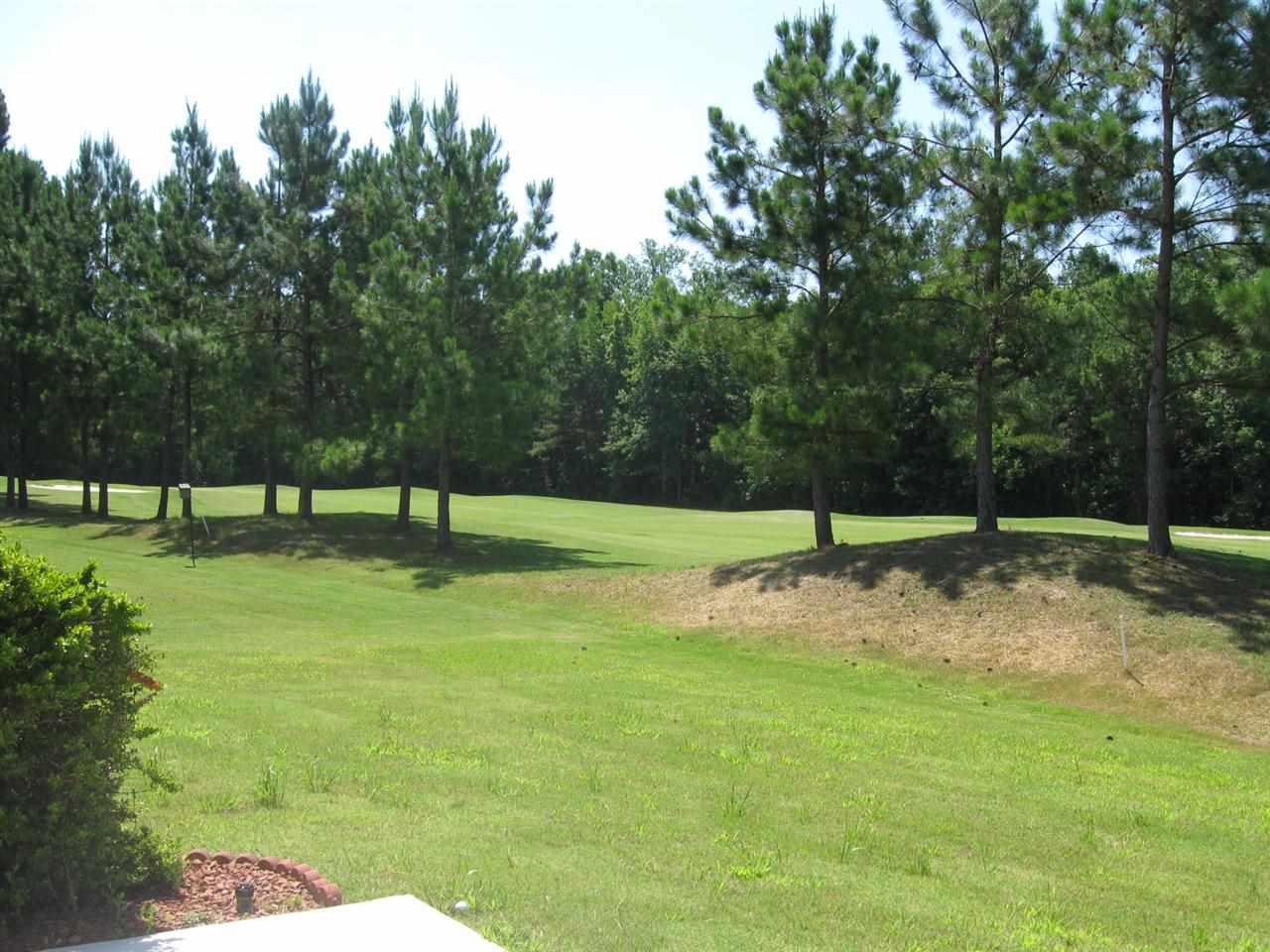 149 Seville Drive Murrells Inlet, SC 29576 - Photo 20 of 25 Gallery Image 20
