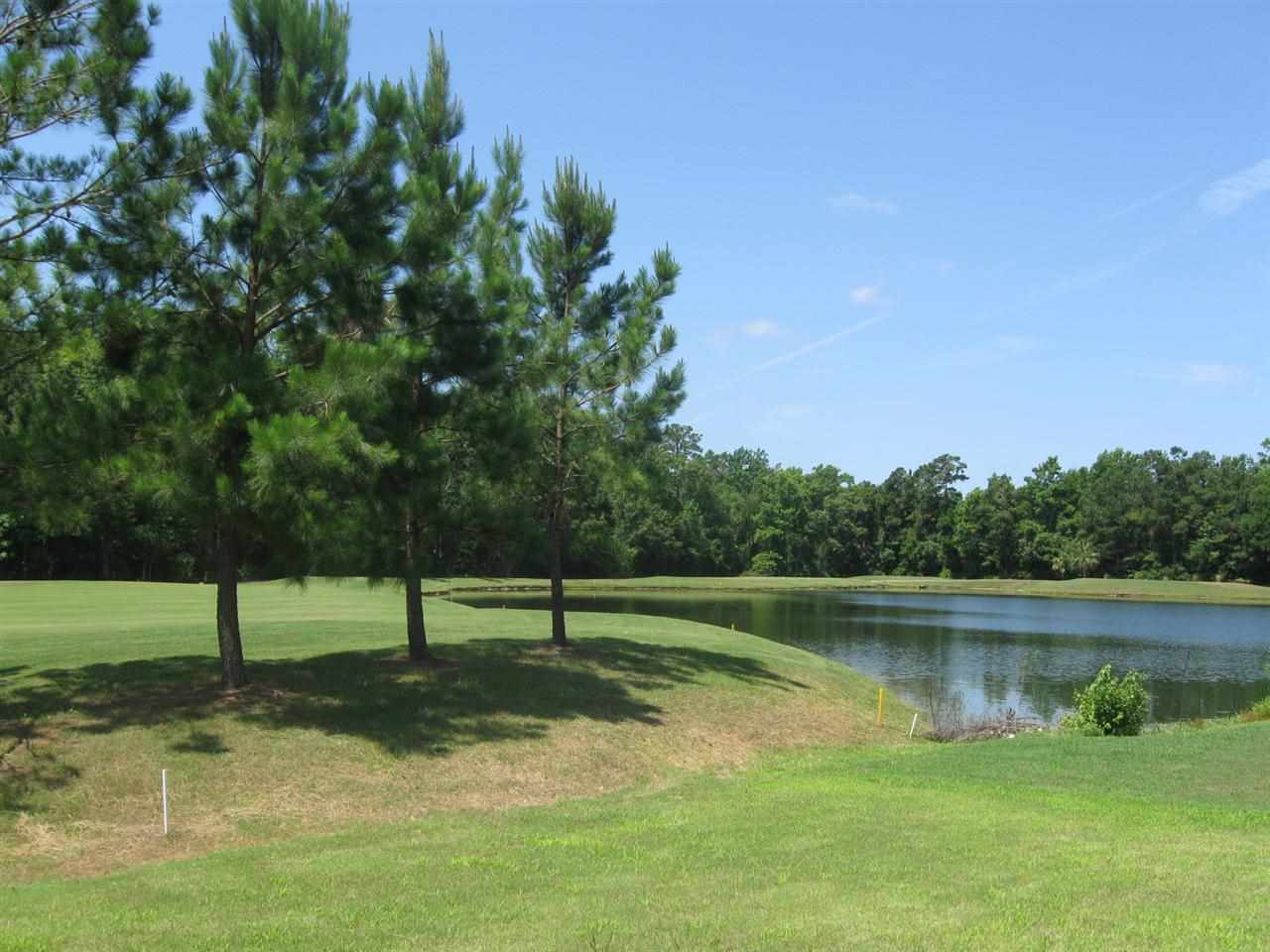 149 Seville Drive Murrells Inlet, SC 29576 - Photo 22 of 25 Gallery Image 22