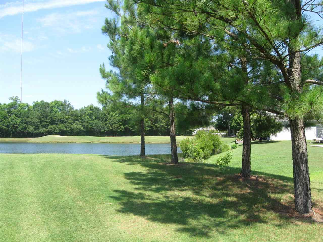 149 Seville Drive Murrells Inlet, SC 29576 - Photo 23 of 25 Gallery Image 23