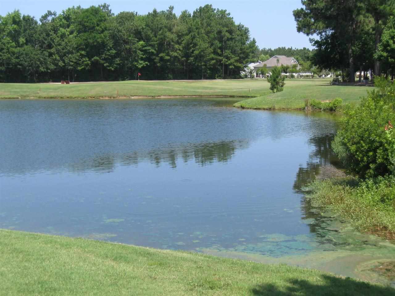 149 Seville Drive Murrells Inlet, SC 29576 - Photo 24 of 25 Gallery Image 24