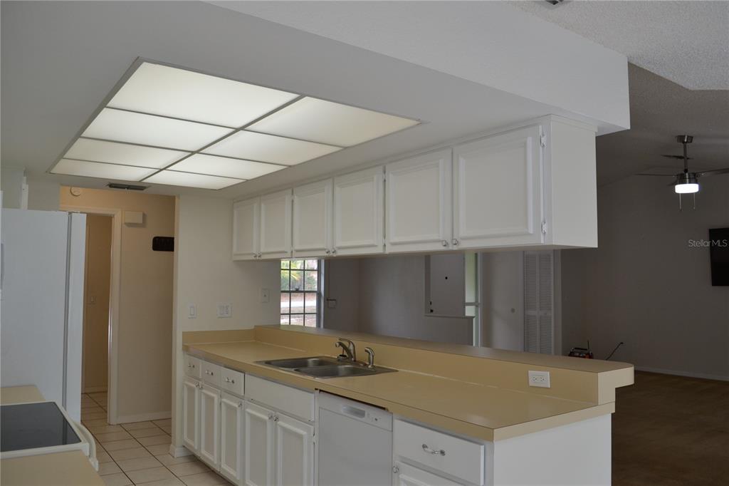 1184 Corolla Avenue Spring Hill, FL 34609 - Photo 17 of 59