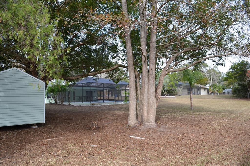 1184 Corolla Avenue Spring Hill, FL 34609 - Photo 54 of 59