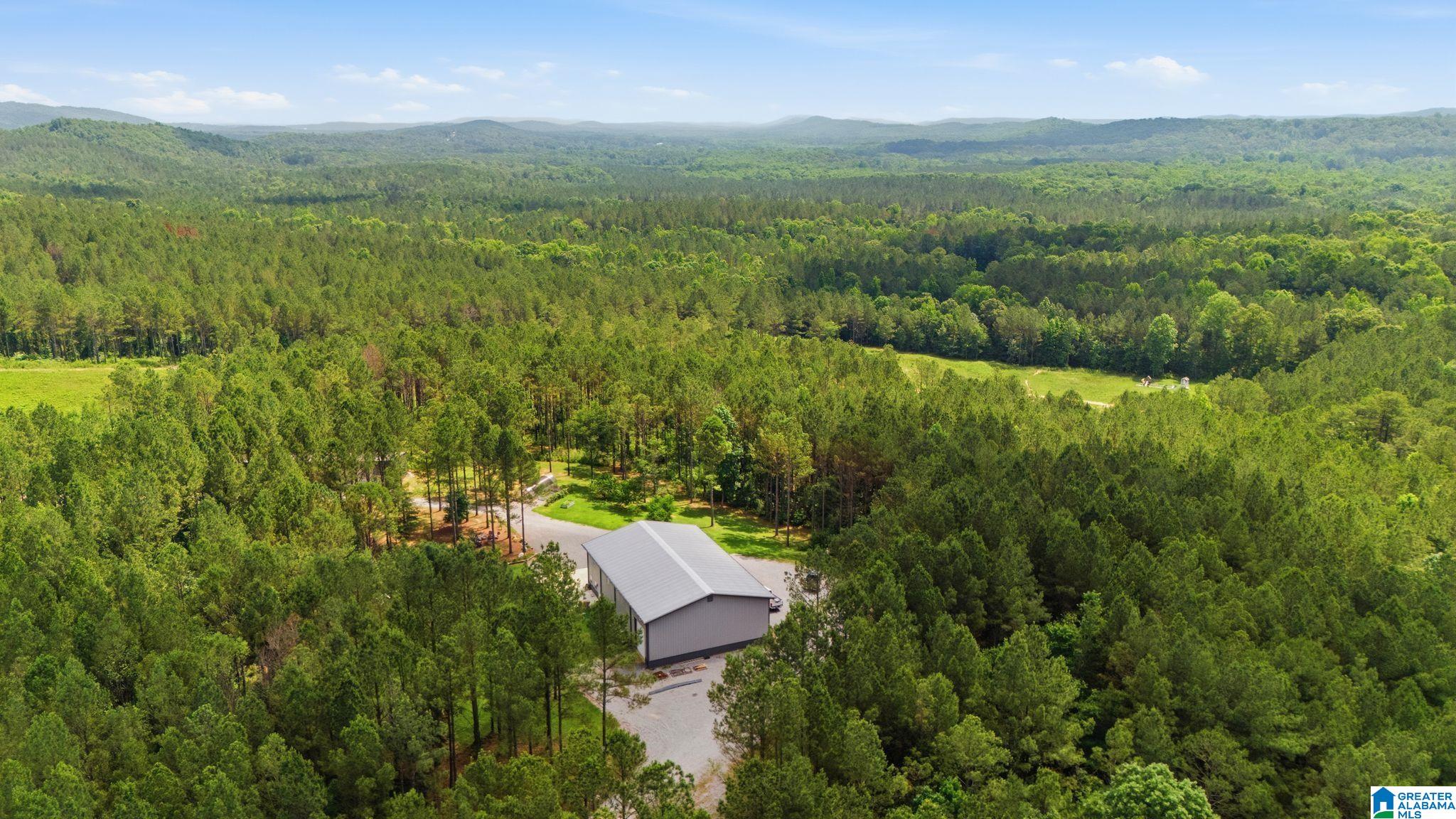 2575 St Clair Road Springville, AL 35146 - Photo 32 of 34