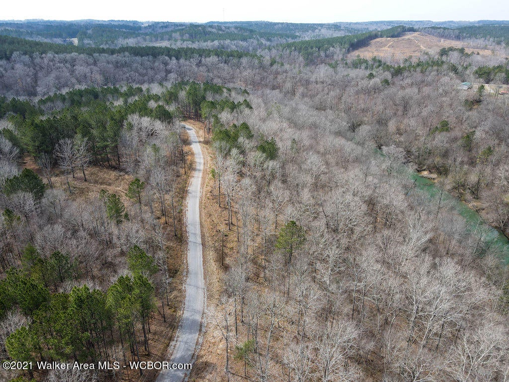Lot#8 Turkey Bend Addison, AL 35540 - Photo 13 of 13 Gallery Image 13