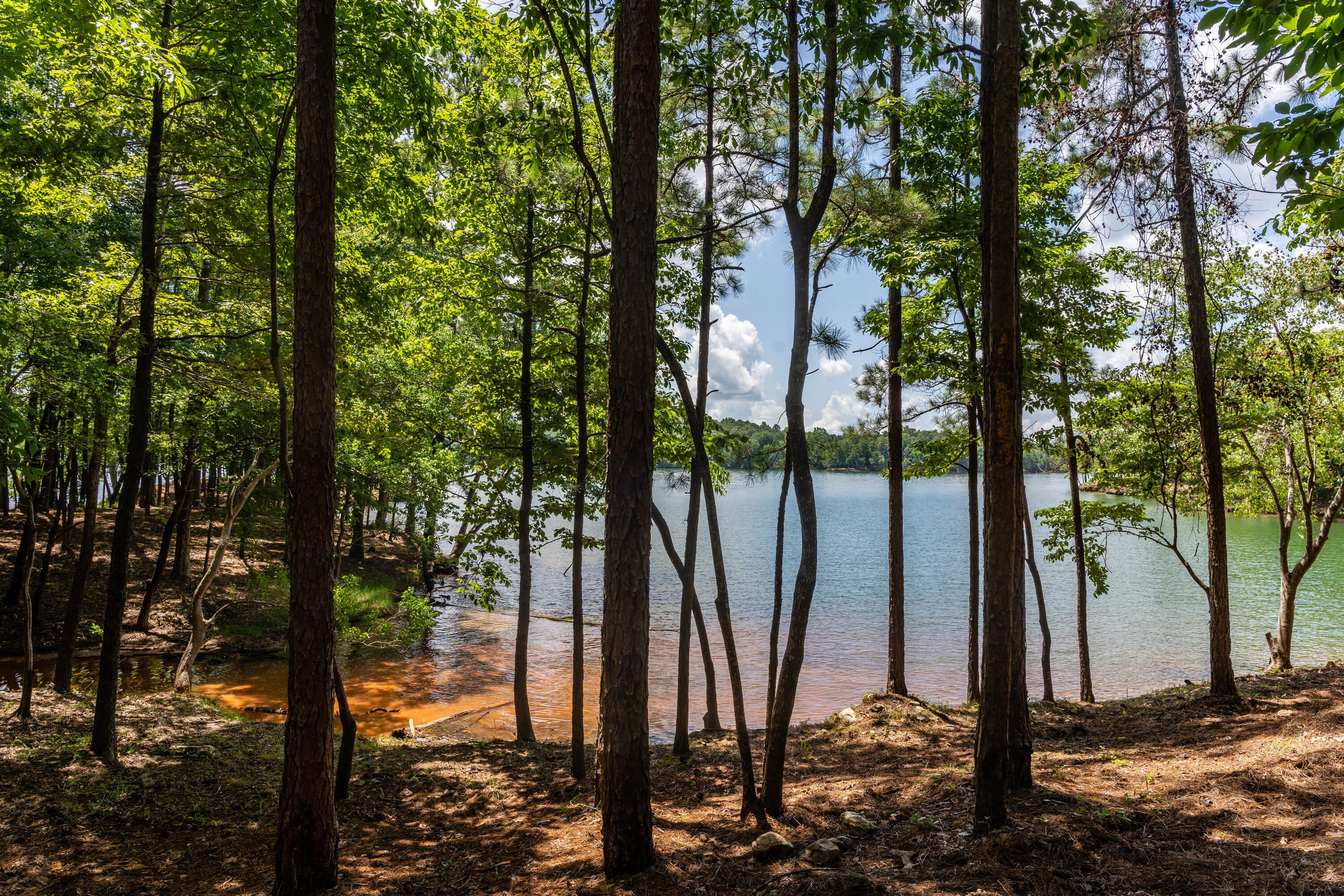 55 East Rdg Court Alexander City, AL 35010 - Photo 1 of 1 Gallery Image 1