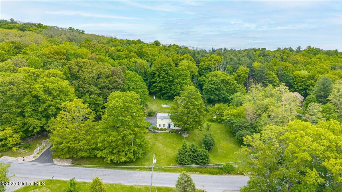 668 Rector Road Glenville, NY 12302 - Photo 44 of 55 60-668 Rector Rd-12