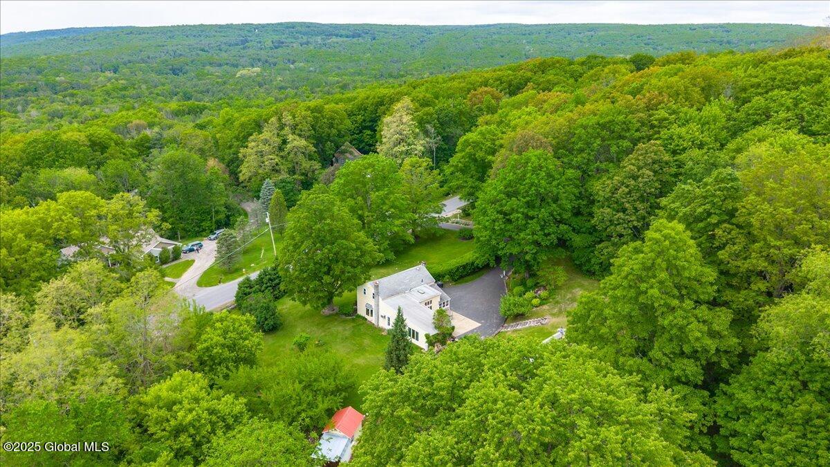 668 Rector Road Glenville, NY 12302 - Photo 46 of 55 63-668 Rector Rd-15