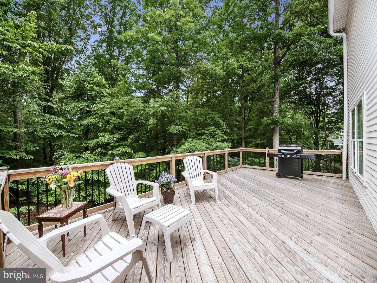 6414 Chapel View Road Fairfax Station, VA 22039 - Photo 17 of 26 Rear Deck off Kitchen
