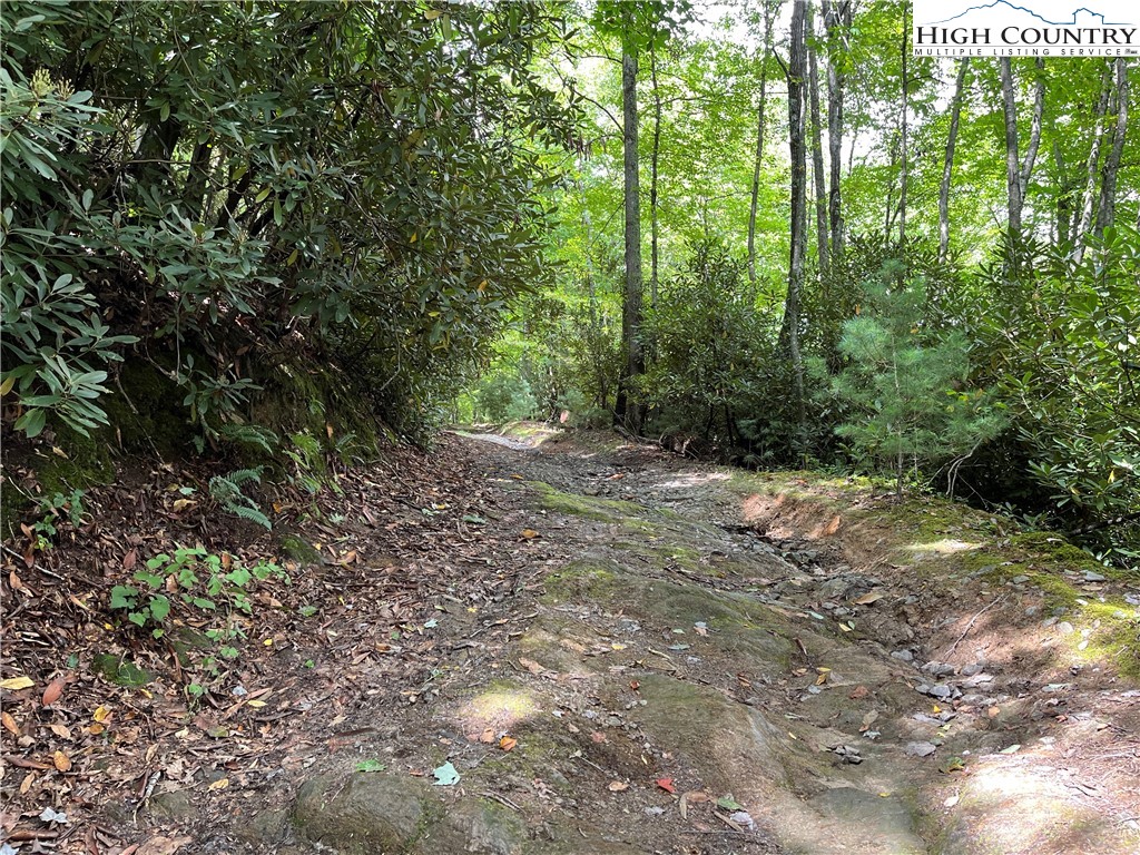 0 Lyons Road Roaring Gap, NC 28668 - Photo 1 of 23 Gallery Image 1