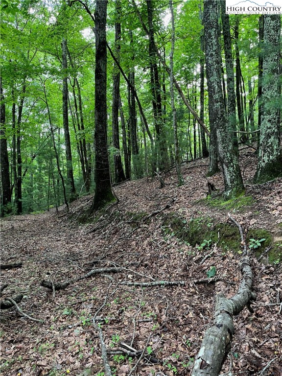 0 Lyons Road Roaring Gap, NC 28668 - Photo 11 of 23 Gallery Image 11