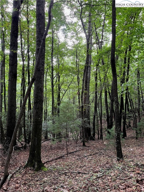 0 Lyons Road Roaring Gap, NC 28668 - Photo 17 of 23 Gallery Image 17