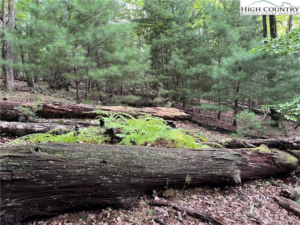 0 Lyons Road Roaring Gap, NC 28668 - Photo 20 of 23 Gallery Image 20