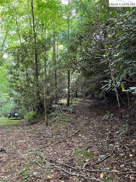 0 Lyons Road Roaring Gap, NC 28668 - Photo 3 of 23 Gallery Image 3