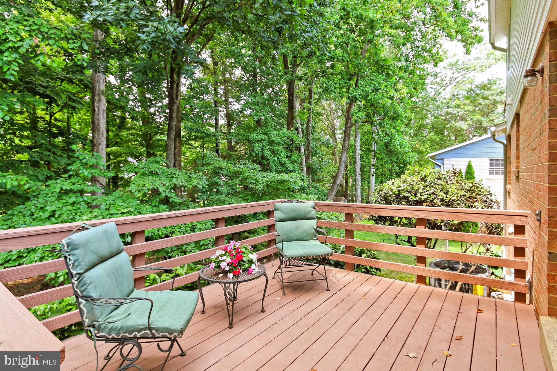 6808 Sydenstricker Road Springfield, VA 22153 - Photo 43 of 65 Relaxing rear sundeck