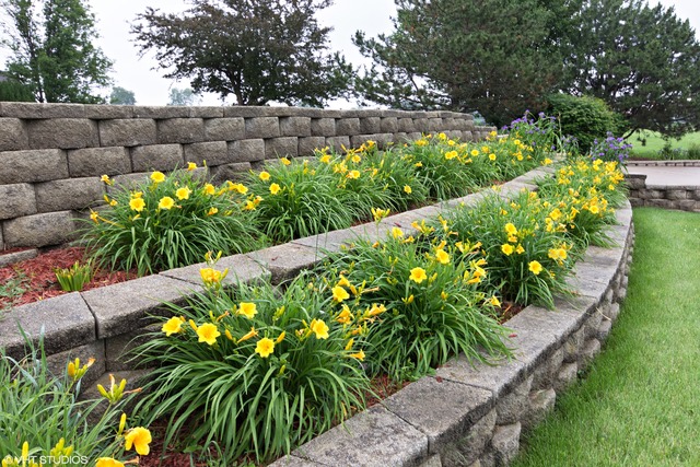 2259 Bell Road Minooka, IL 60447 - Photo 3 of 20