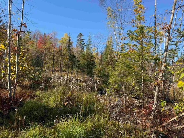 $69,000 | Lot 26 Hartco Avenue, Lancaster, NH 03584