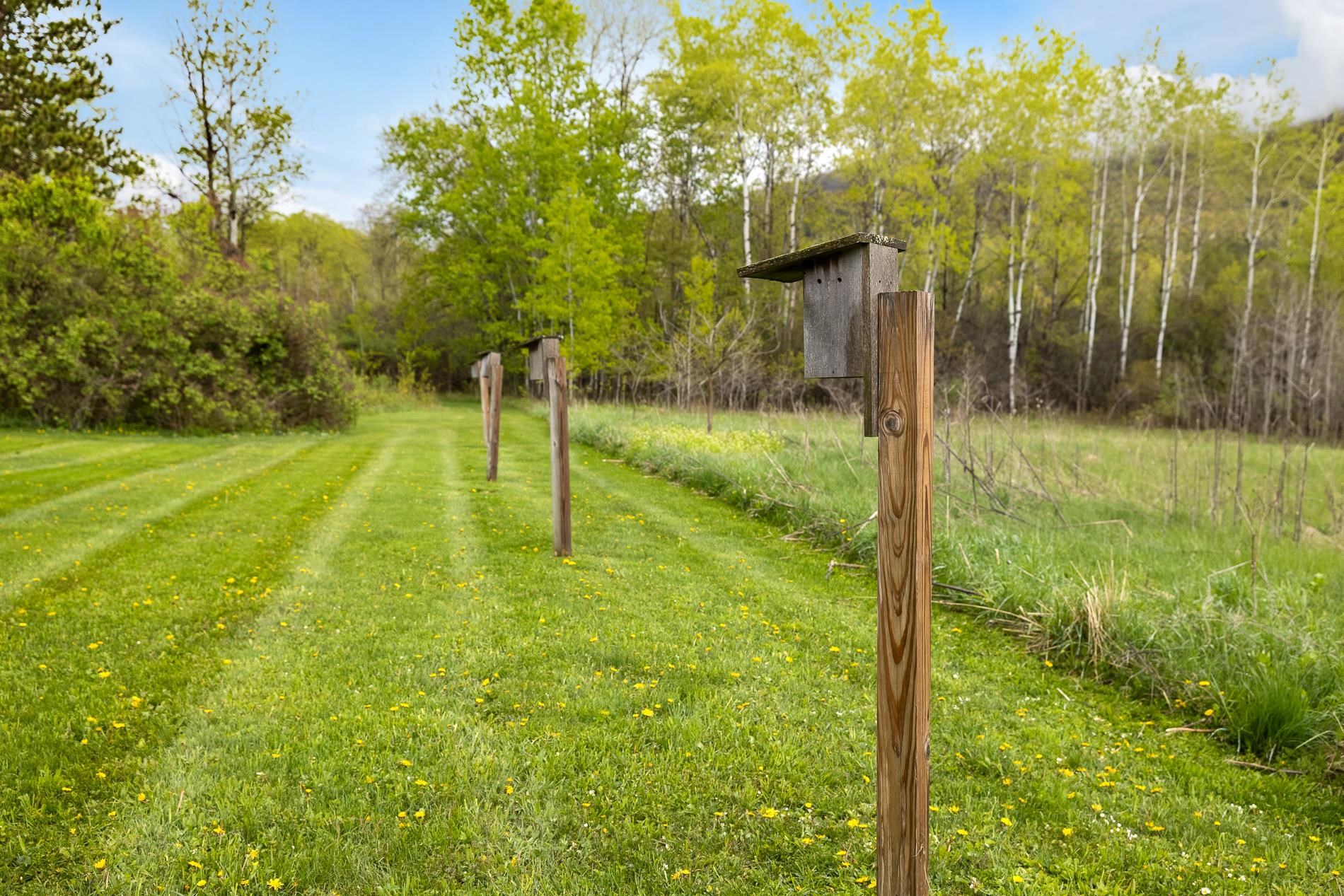 2320 West Road Bennington, VT 05201 - Photo 34 of 39