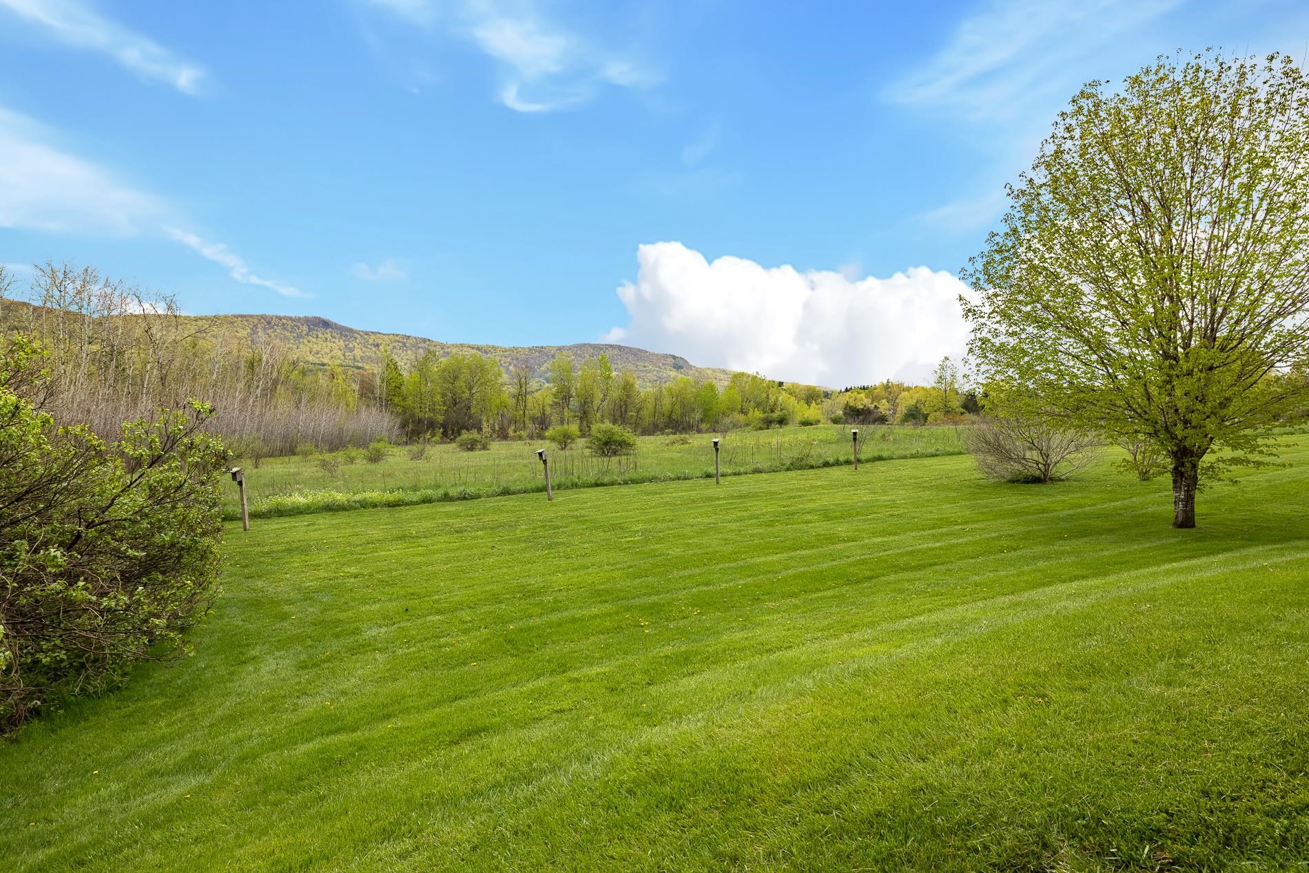 2320 West Road Bennington, VT 05201 - Photo 5 of 39