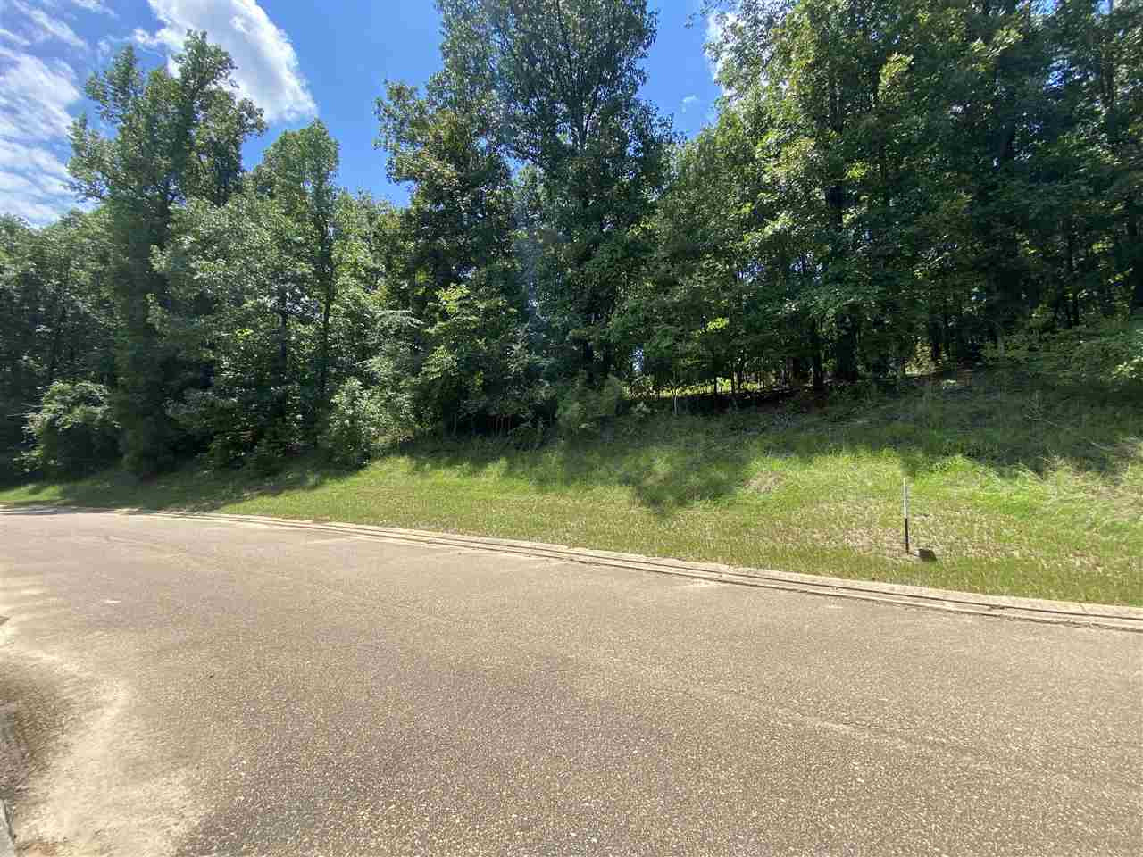 0 Chestnut Hill Road, Unit 51 Flora, MS 39071 - Photo 7 of 12 Photo 7
