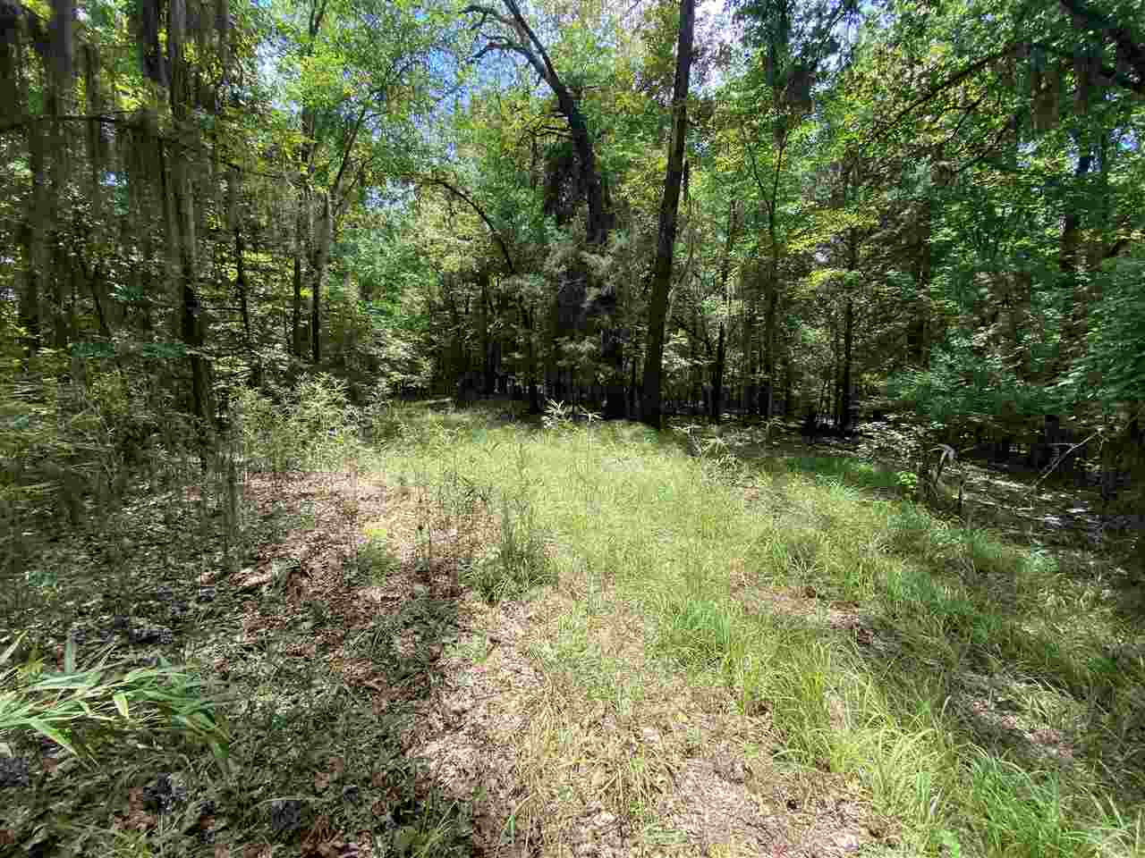 0 Chestnut Hill Road, Unit 51 Flora, MS 39071 - Photo 8 of 12 Photo 8